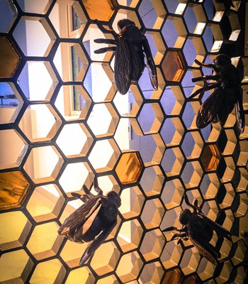 Bee Grill